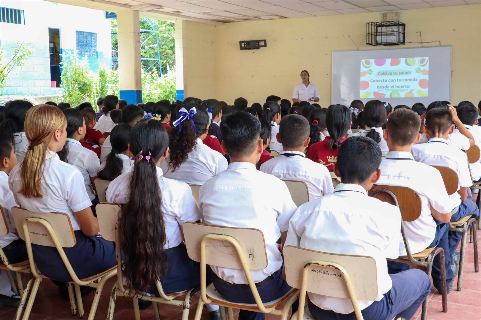 Desarrollo juvenil
